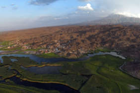 Yaban hayvanları yaz sıcaklarını geçirmek için Ağrı Dağı'ndaki Karasu'ya göç ediyor