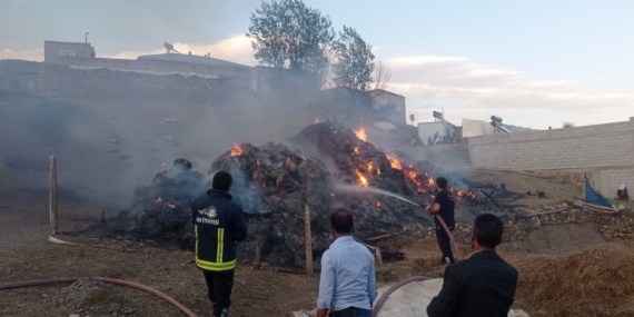 Van’da 8 bin bağ ot yandı