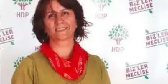 HDP’nin yeni Eş Genel Başkanı Sultan Özcan kimdir?