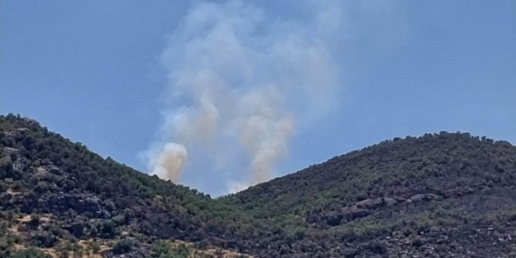 Lice’de aynı yerde son 1 ayda 3. kez yangın çıktı