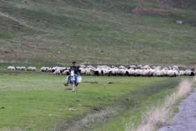 Göçerlerin Erzurum'dan Mardin'e 90 günlük dönüş yolculuğu sürüyor