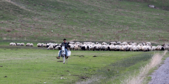 Erzurum’daki göçerlerin 90 günlük dönüş yolculuğu sürüyor