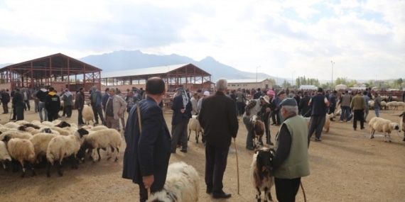 Van’da besiciler isyanda: Hayvanlara verecek yem ve arpamız yok!