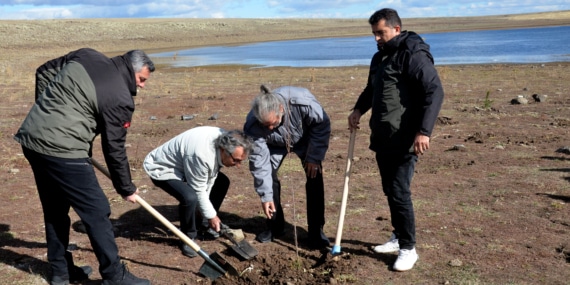 Kars’ta yaban kuşları için fidan dikildi