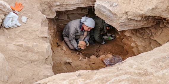 Van’da mezarlık alandaki iskeletlerde ‘beyin ameliyatı’ izine rastlandı