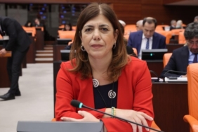 meral danış