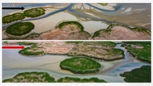 Büyükşehir Belediyesi’nden tahrip edilen Dilkaya Deltası ile ilgili açıklama - IMG 20240520 WA0036