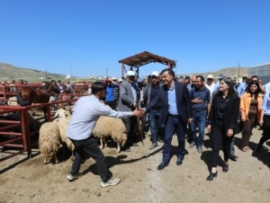 Eşbaşkanlar Van Hayvan Pazarı’nı ziyaret etti: Şikâyetleri ve talepleri dinledi - 2