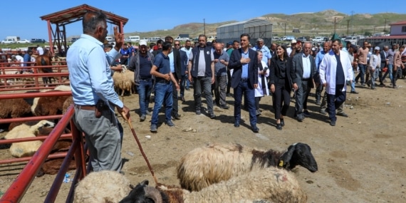 Eşbaşkanlar Van Hayvan Pazarı’nı ziyaret etti: Şikâyetleri ve talepleri dinledi