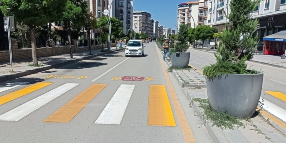 Van Belediyesinden ‘ırkçı yazılıma’ tepki: Çok dilli belediyecilik faaliyetleri engellemez