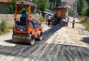 Van Büyükşehir Belediyesi ilk 3 aydaki performans raporunu açıkladı - vbs 4