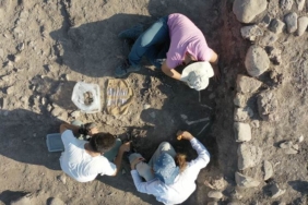 Li Girê Berazan 12 gorên zarokan hatin dîtin