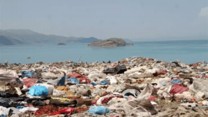 Çöplüktü, Van’ın en güzel ve en gözde yeri oldu - gevas coplugu 2