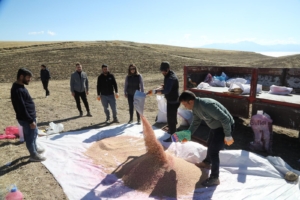 Van’da bin yıllık tohumlar toprak ile buluşturuldu - tarim4