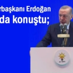 Erdoğan Van'da konuştu