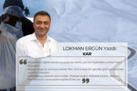 LOKMAN TEKİN (1)