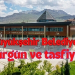 Van Büyükşehir